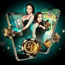 v7v7 casino